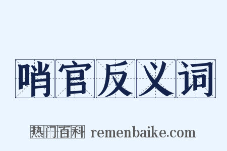 哨官反义词是什么意思的图片